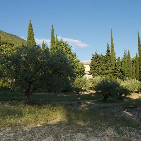 Mas Provencal La Serallere Au Coeur Des Oliviers Venterol  Ngoại thất bức ảnh