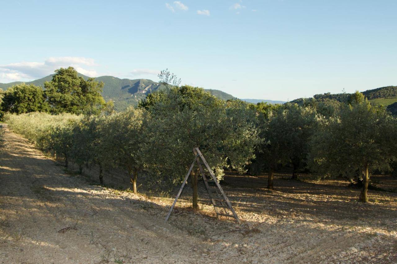 Mas Provencal La Serallere Au Coeur Des Oliviers Venterol  Ngoại thất bức ảnh