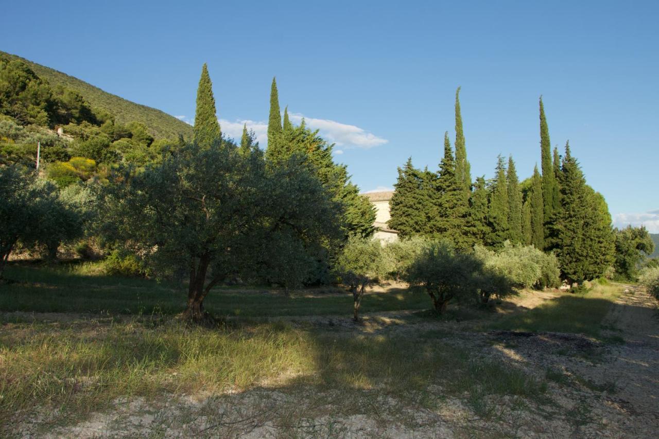 Mas Provencal La Serallere Au Coeur Des Oliviers Venterol  Ngoại thất bức ảnh